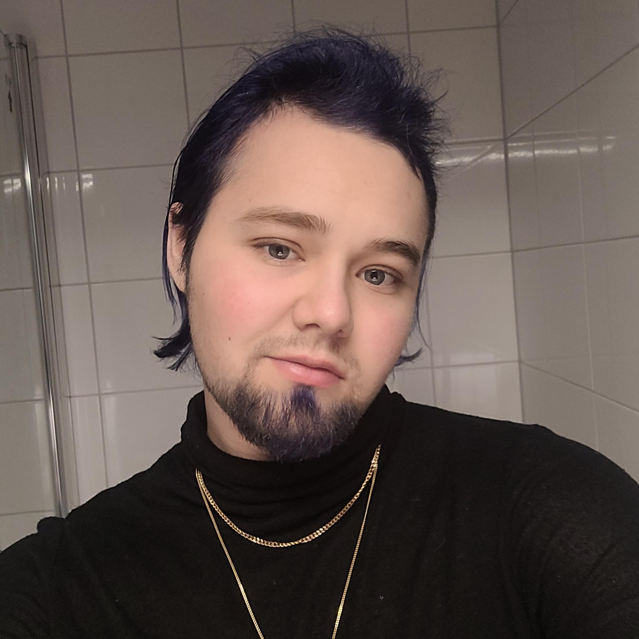 Sly Wolters profile picture